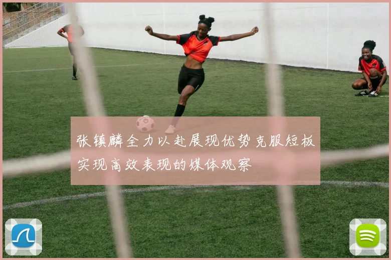张镇麟全力以赴展现优势克服短板实现高效表现的媒体观察