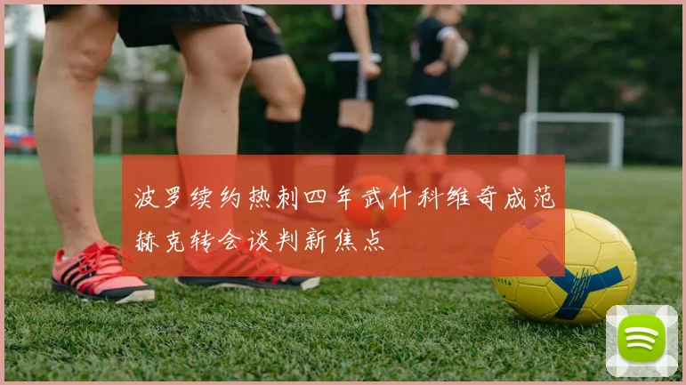 波罗续约热刺四年武什科维奇成范赫克转会谈判新焦点