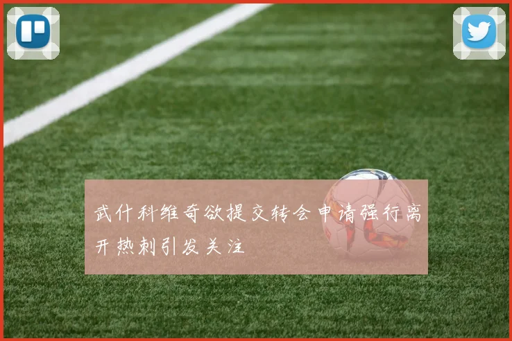 武什科维奇欲提交转会申请强行离开热刺引发关注