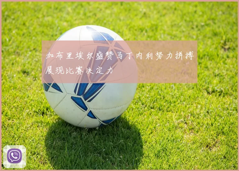 加布里埃尔盛赞马丁内利努力拼搏展现比赛决定力